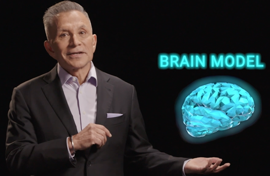 Pivot to Positive® Brain Model